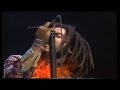 Lenny Kravitz: Freedom Train - Live at Roskilde Festival 1990