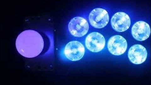 Paradise Arcade Shop Kaimana LED Hurricane kick demo