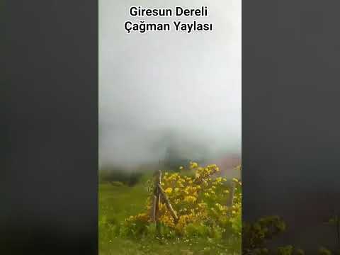 Giresun Dereli Çağman Yaylası #giresun #dereli  #yayla #köy #köyhayatı #karadeniz #huzur #doğa