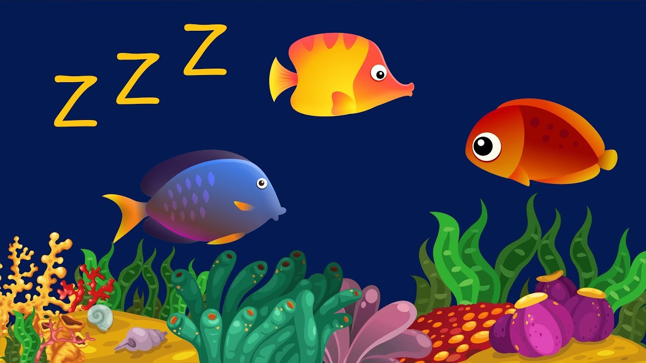 léxico Reconocimiento Predicar Música Para Bebê Dormir com Relaxante Som de Água ♫ ❤ Animação com Peixes -  YouTube