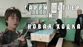 Гарри Поттер (Смешная озвучка)