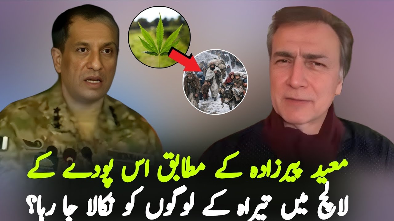 Did a Rare Plant Trigger the Tirah Valley Evictions? Moeed Pirzada ...