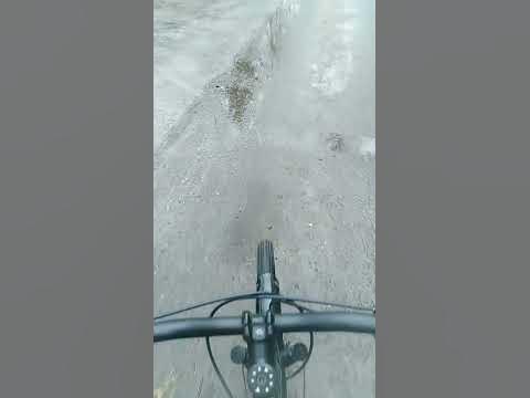 доставка самокат - YouTube