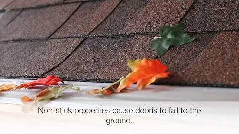 Gutter Logic - GutterDome Gutter Protection