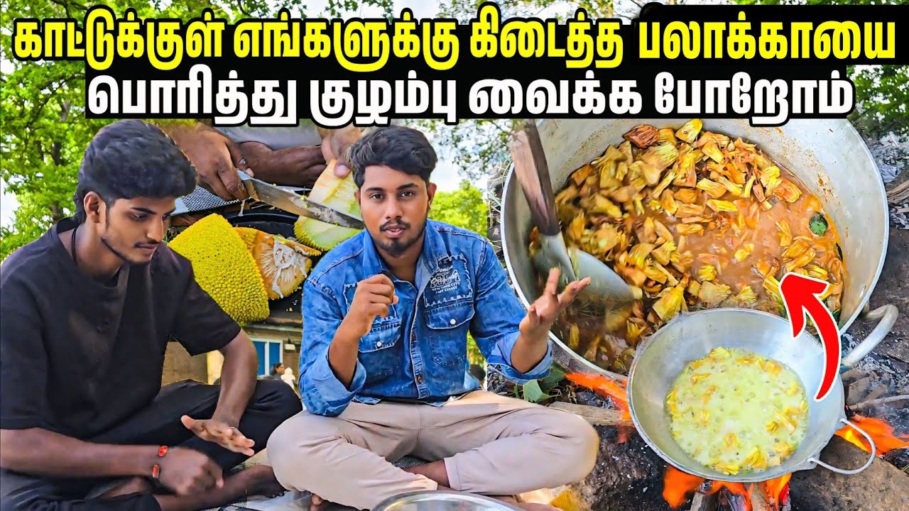 காட்டுக்குள் எங்களுக்கு கிடைத்த பலாக்காயை பொரித்து குழம்பு வைக்க போறம் 😛 | Voice of Anushan vlogs