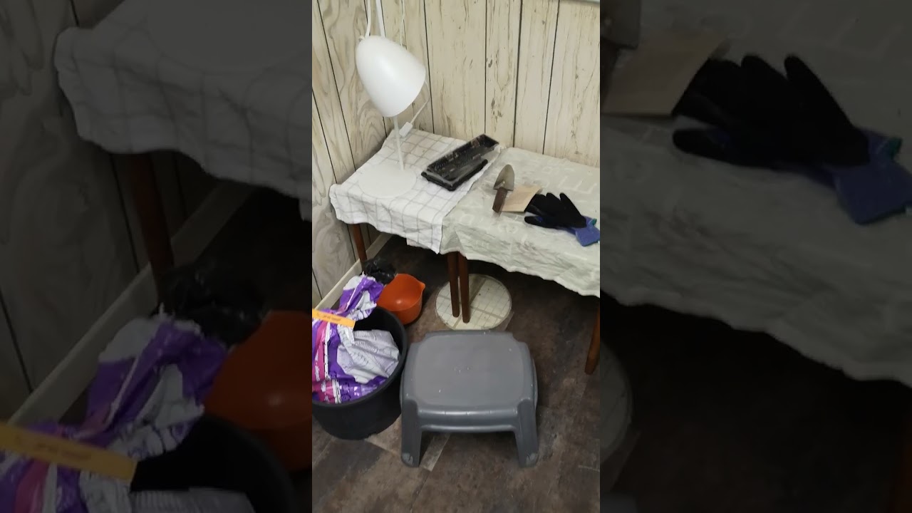 Seed Starting Setup (