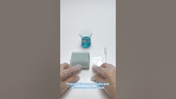 How to use Microscope Slides and Microscope Cover Glass?