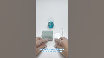 How to use Microscope Slides and Microscope Cover Glass?