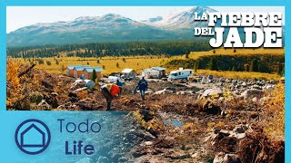 No es fácil encontrar verde | La Fiebre del Jade 112 | Todo Life