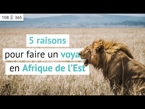 Vidéo: Est-il sûr de voyager en Afrique ?