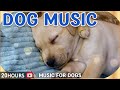 20heures de musique pour dormir avec un chiensoulagement de lanxit de sparation pour les chiens
