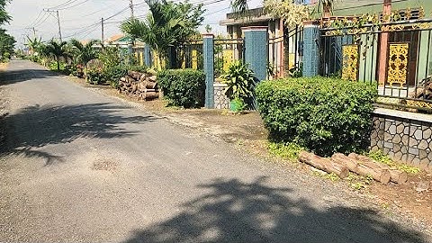 Ms 121 : Cô chú chuyển về sài gòn bán nhà vườn 815m² mặt tiền nhựa ven kênh thổ cư 150m² giá 1,4 tỷ