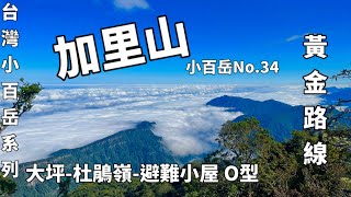 加里山(大坪-杜鵑嶺-避難小屋-O型)黃金路線