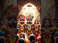jai jagarnath bhagwan|jai shree krishna#bhaktishort#jaijagarnath #trending#viral#shorts#bhakti#love