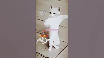 الحلوة مريم مريوم الزينة مريم مريوم ترند السعودية المغرب الاردن الجزائر تونس العراق 