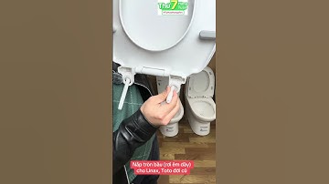 Bộ nắp bồn cầu rơi êm dầy, dáng tròn bầu, kích thước 36*44cm. Thay thế cho bồn Linax, Toto đời cũ