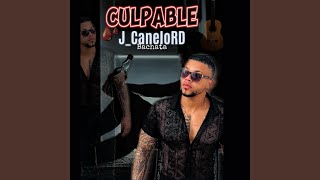 Culpable