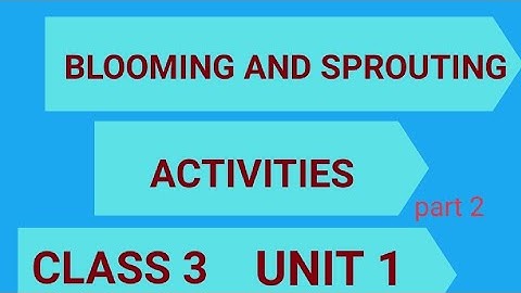 Blooming and Sprouting / പൂത്തും തളിർത്തും / Part 2 / EVS / പരിസര പഠനം / Class 3 / Kerala Syllabus