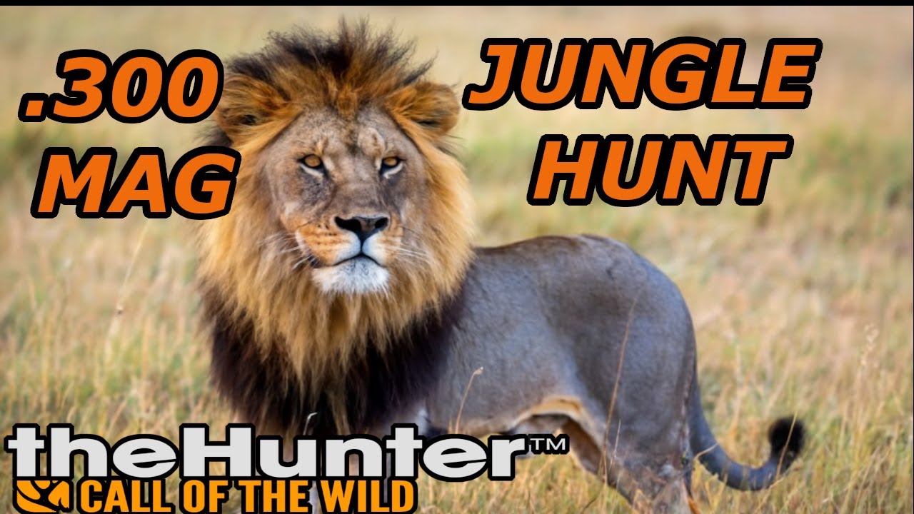 lion-hunt-at-the-savanna-with-new-weapons-beginner-cotw-guide-call