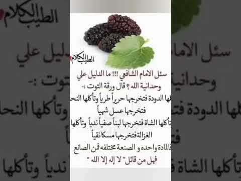 مادليل على وحدانية الله الايمام الشافعي