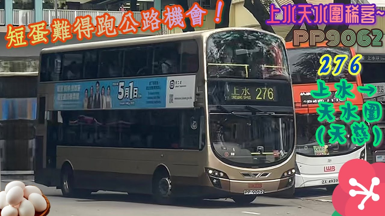 上水天水圍稀客‼️短蛋難得跑公路機會🏃🏻】 PP9062 276 上水→天水圍