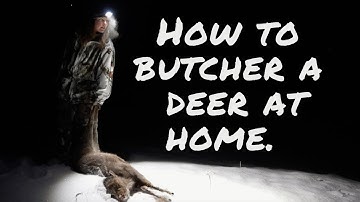 How to Butcher a Deer at Home | A Beginner Friendly Guide.