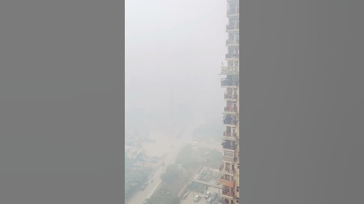Delhi Winter: A Walk Through the Mist #shorts #shortvideo #viral #delhi #winter #delhiwinter