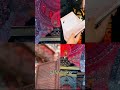 تجمعني علاقه وياگ كربلاء المقدسة اكسبلور 