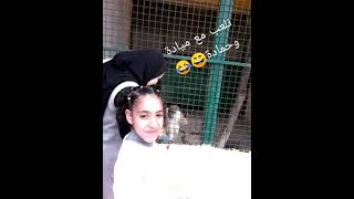 يلا نلعب مع ميادة ? وحمادة ? the zoo??????