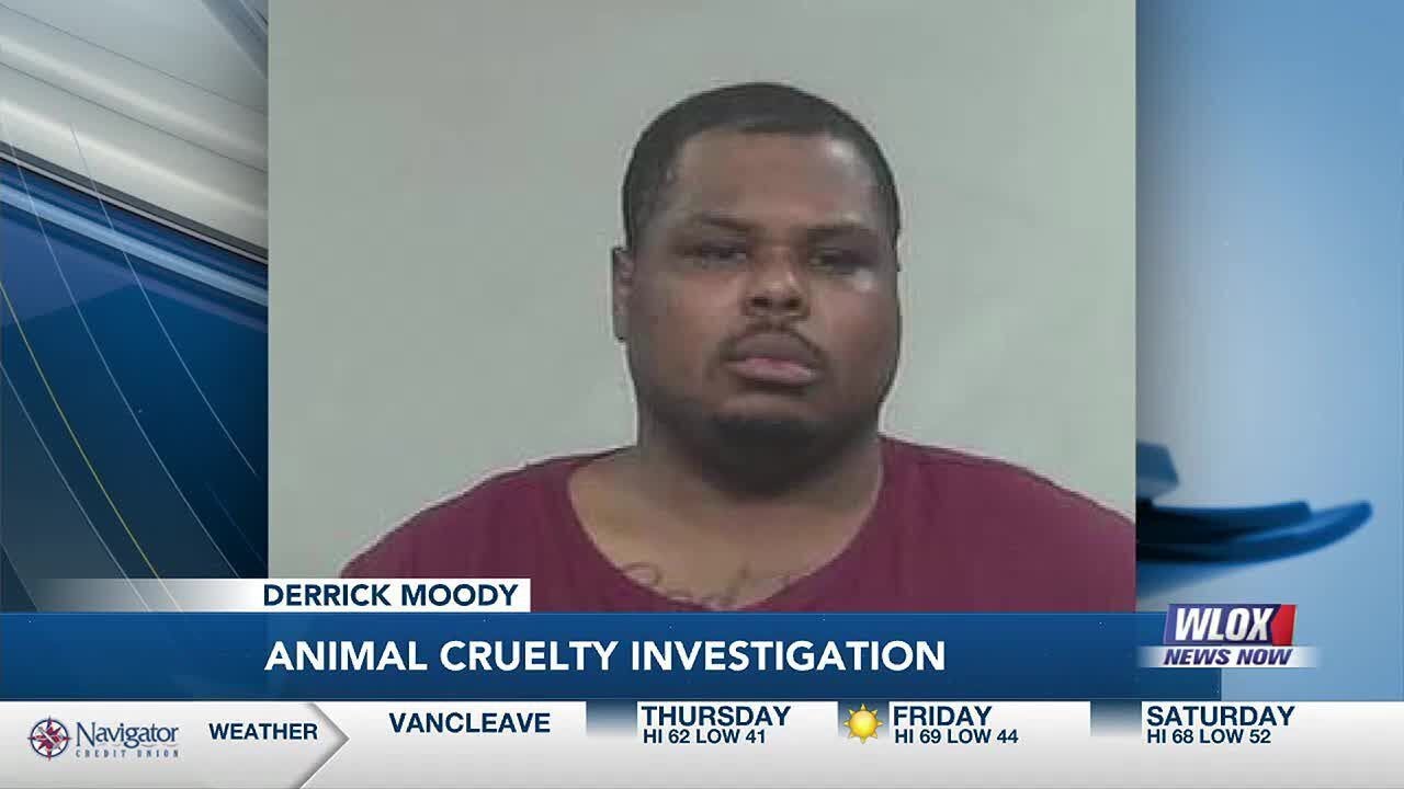 Man accused of animal cruelty charges - YouTube