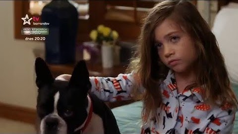 Zachráněné Vánoce       Americký rodinný film 2013