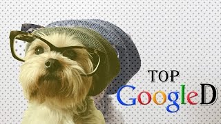 Googles Top Trending Searches From 2016