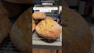 They are literally identical same batch and everything… 🙄#sourdough #sourdoughfail #scoringbread