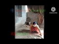 Tabele ki safai  housewife cleaning   daily routine