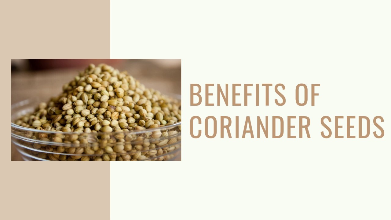 Spectacular Benefits Of Coriander Seeds