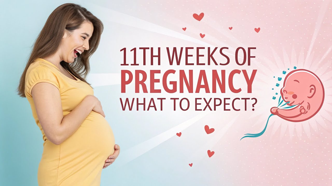 11th Week of Pregnancy – Baby's Growth & Your Body Changes | Pregnancy ...