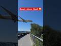 Scoot landing in Sydney Airport #landing #airplane #planespotting #aviationlovers #sydney #plane