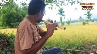 Download Lagu MERDUNYA...ALUNAN SULING KHAS MANDAILING MP3