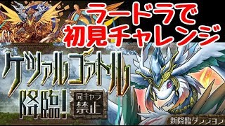 【パズドラ】新ダンジョン ケツァルコアトル 降臨！ 初見はラードラで挑戦！！