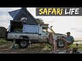 Safari Life |  Self Drive 4x4 Botswana | Chobe4x4 | Ep 5