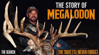 223 Inch Megalodon Buck Biggest Whitetail Youll Ever See