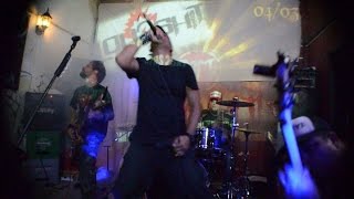 "Natural Selection" PRIMITIVE (Macadam 2017)