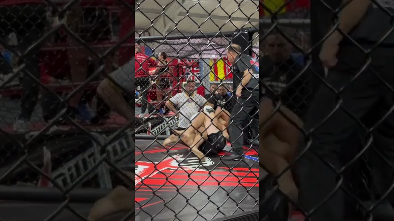 Professional fighter 