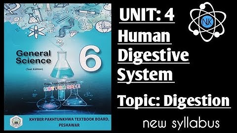 Science Class 6th|in Pashto|Ch#4|lecture#1| Kpk Textbook|Human Digestive System