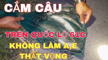 TIẾP TỤC CẮM CÂU | TRÊN QUỐC LỘ 61C| TOÀN LÀ CÁ LÓC TO| snakehead fishing