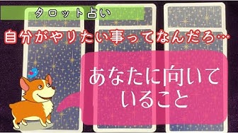 あんこちゃん Youtube あんこちゃん Youtube