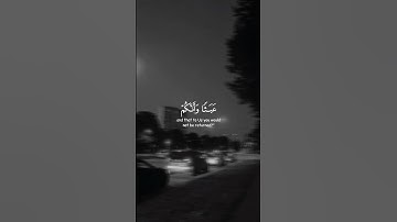 اكتب شيئا تؤجر عليه...🤍 #قرآن #المصحف #تلاوة_خاشعة #holyquran #quran #islam #islamic