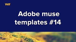 The adobe muse templates #14