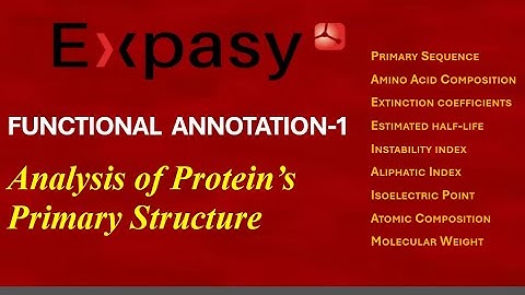 Analysis of Protein Primary Structure Through ExPASy