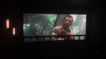 The Rainforest was a Stegosaurus and T-Rex Dinosaur 🦖